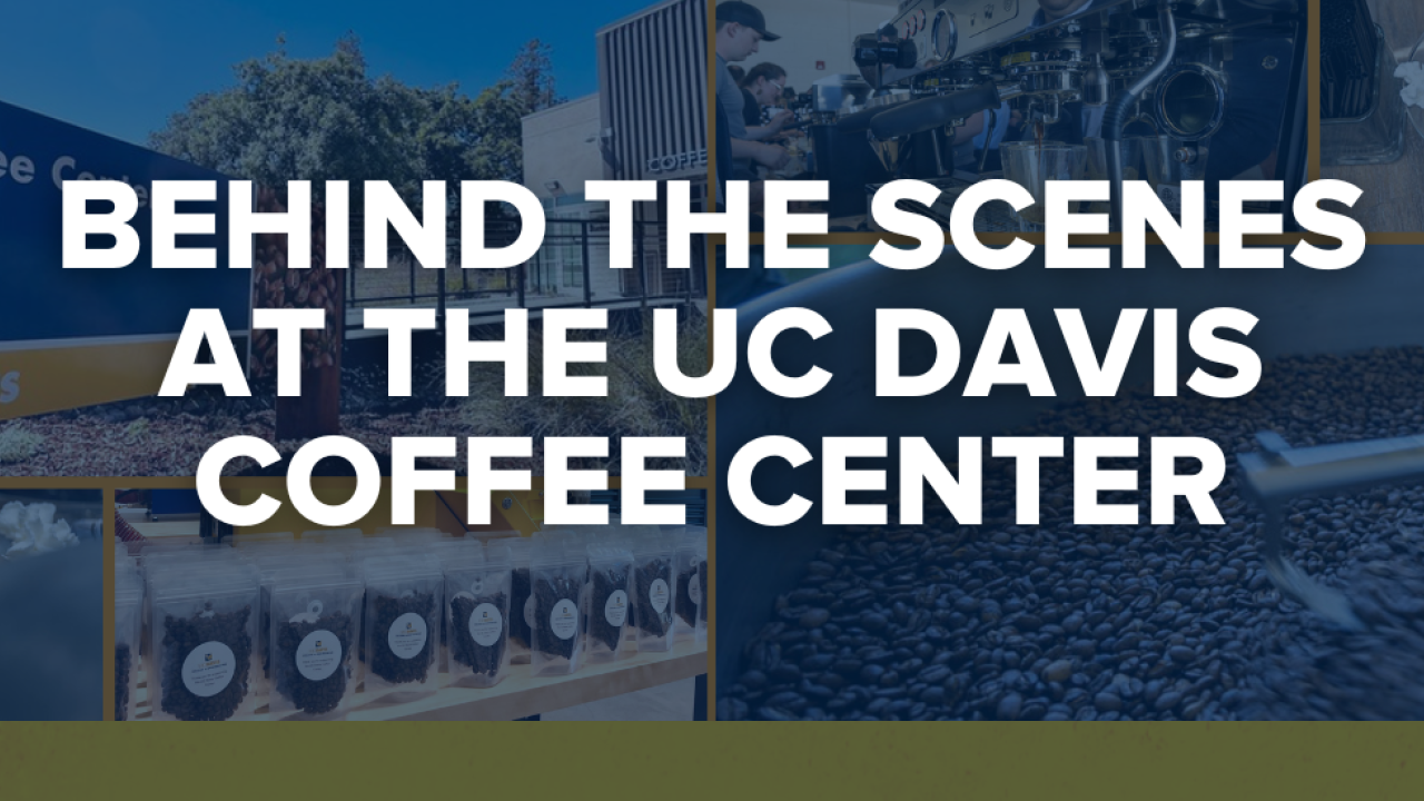 Pictures of the UC Davis Coffee Center with the words "Behind the scenes at the UC Davis Coffee Center"
