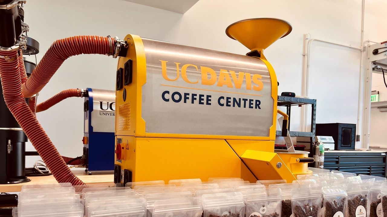 Many bags of coffee beans in front of a large yellow Coffee Center machine