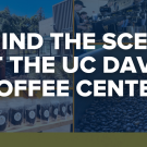 Pictures of the UC Davis Coffee Center with the words "Behind the scenes at the UC Davis Coffee Center"