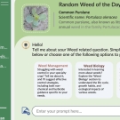 WeedChat Mockup